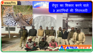 3 person arrested against killing of Leopard in Rewa News