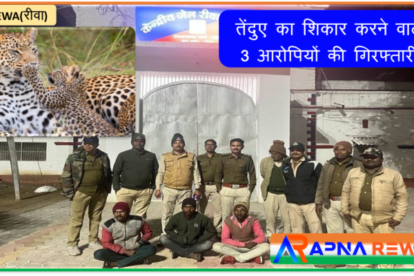 3 person arrested against killing of Leopard in Rewa News